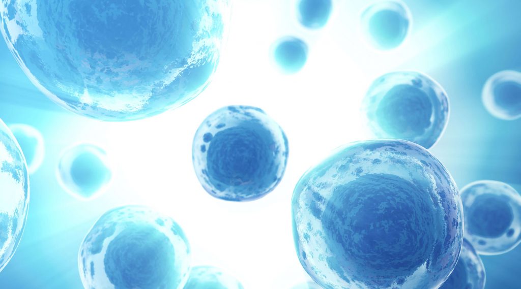 Low Energy: Everyday Stressors That Zap Your Body’s Power Supply Pulse PEMF Cells