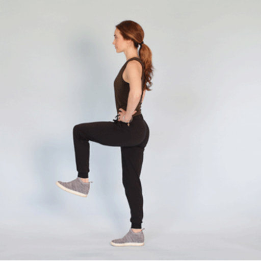 Pulse PEMF Blog - Proprioception - Flamingo Stand Example