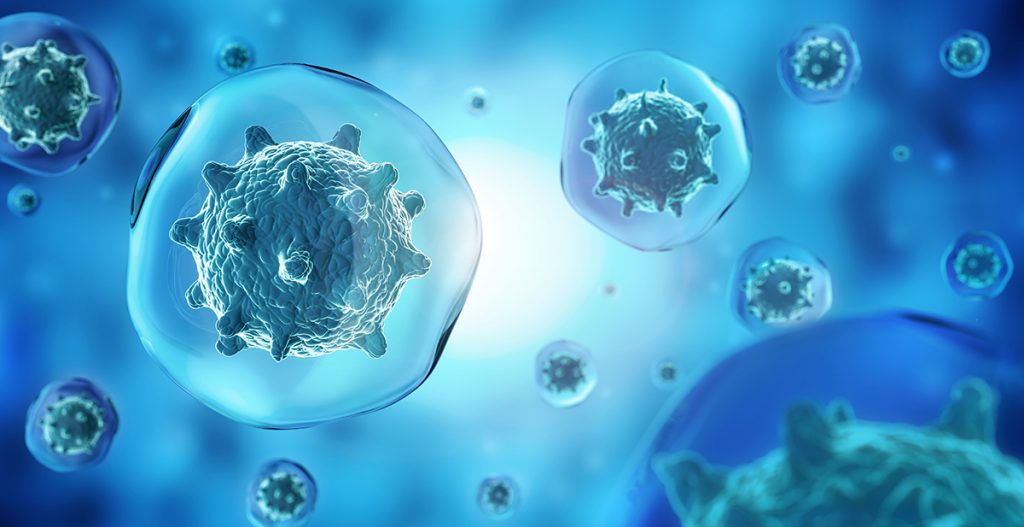 Cells: A Closer Look at How the Body's Building Blocks Function and Use Energy pemf accessories