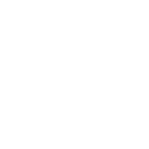 Pulse PEMF demo icon