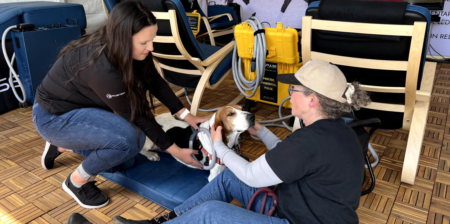 Types of PEMF Devices to Consider for Your Pet Portable PEMF Devices