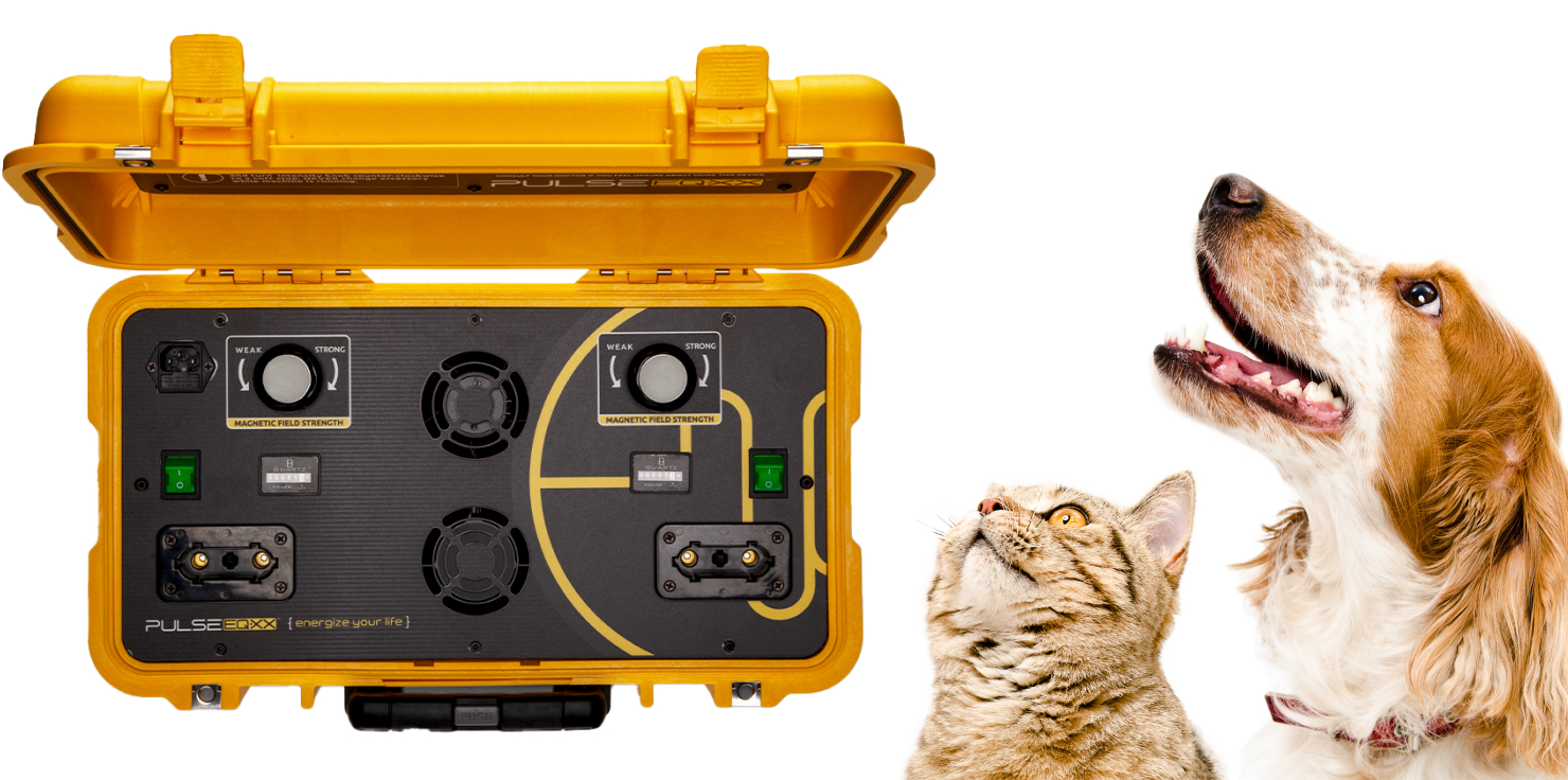 PEMF devices for Pets Technical Specifications to Consider