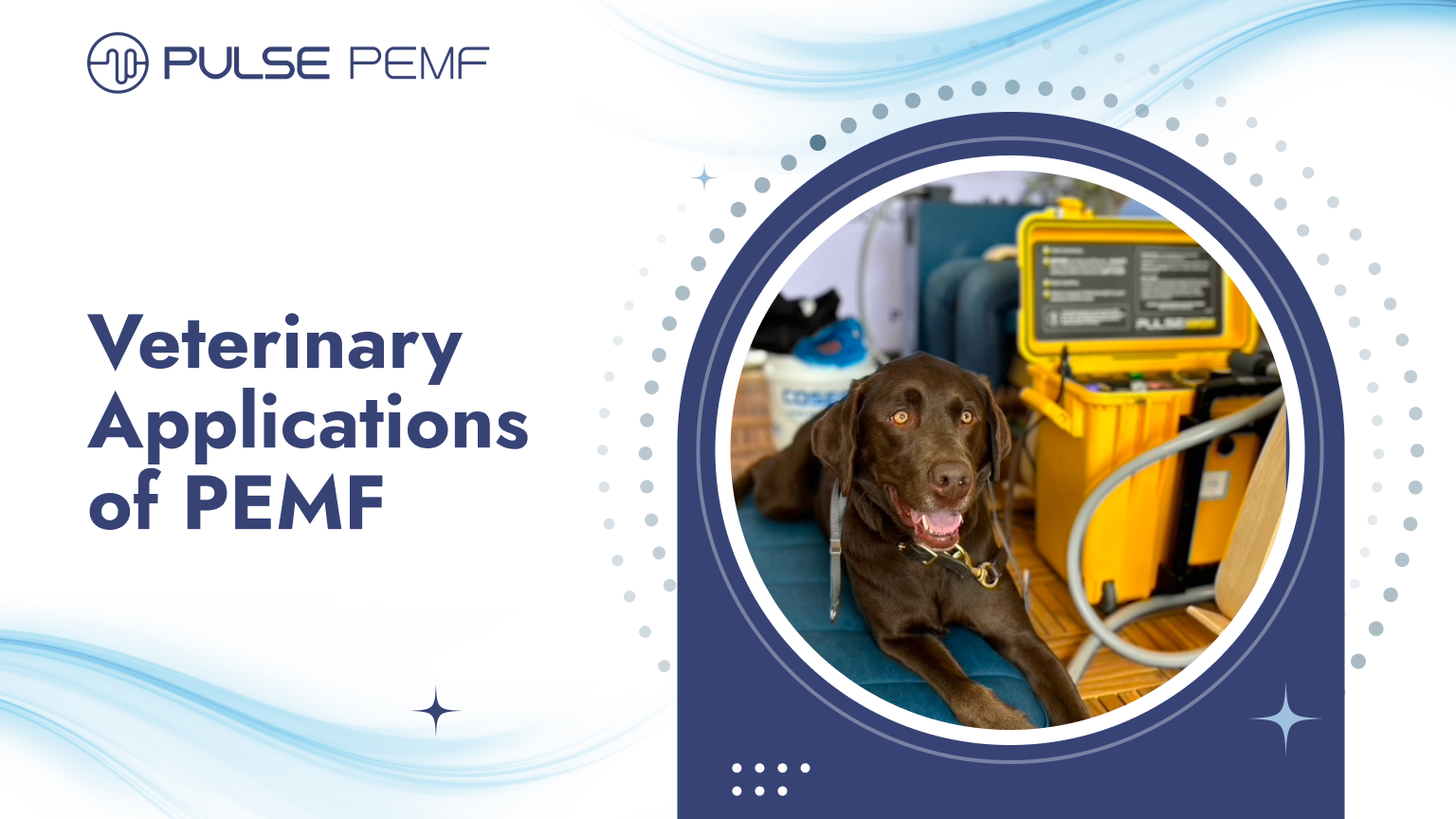Veterinary Applications of PEMF: Safe and Non-Invasive Alternatives Veterinary Applications of PEMF