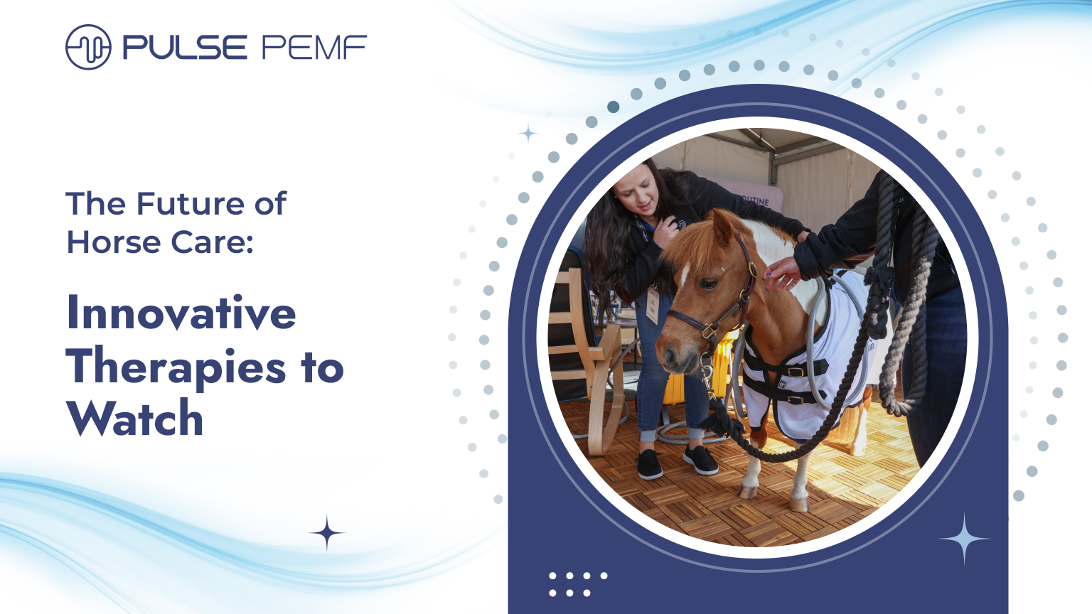 The Future of Horse Care: Innovative Therapies to Watch The Future of Horse Care