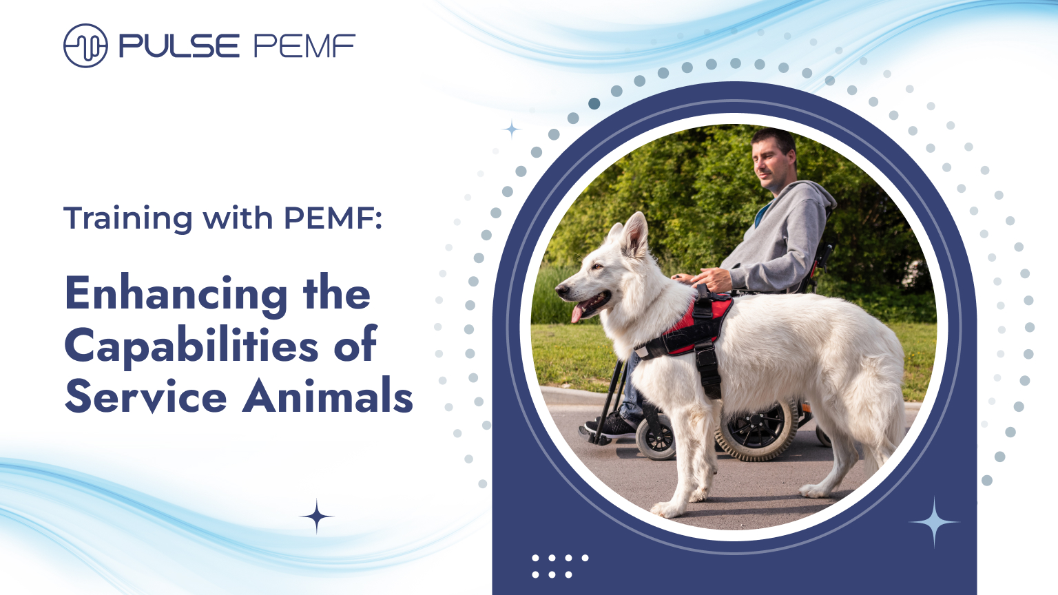Training with PEMF: Enhancing the Capabilities of Service Animals Training with PEMF Enhancing the Capabilities of Service Animals