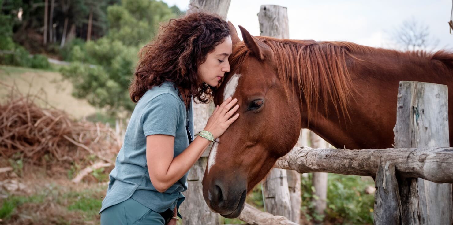 How to Recognize Signs of Stress in Horses Behavioral Signs of Stress in Horses