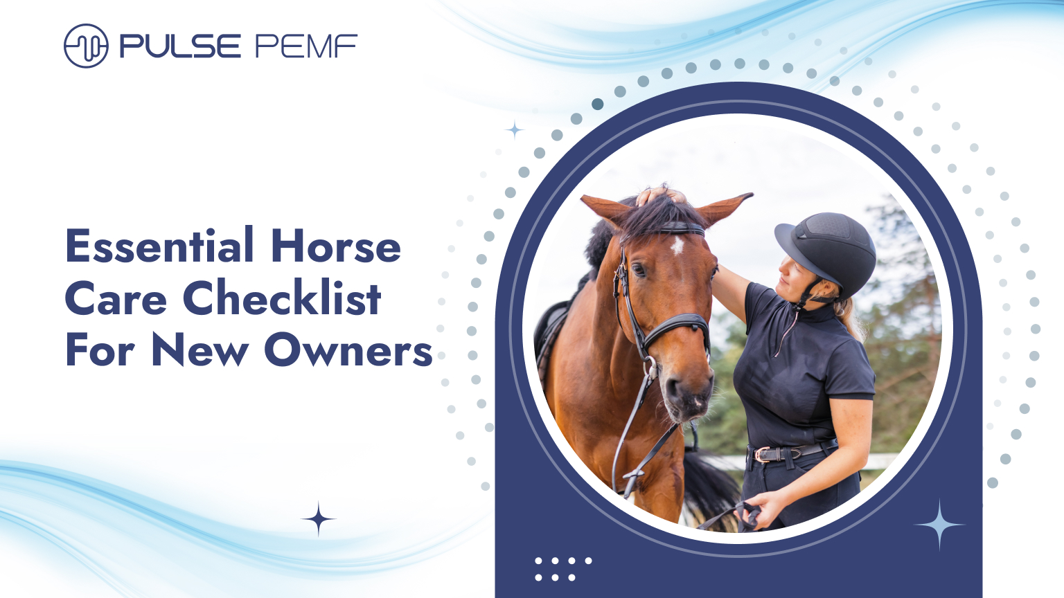 Essential Horse Care Checklist For New Owners Horse care checklist