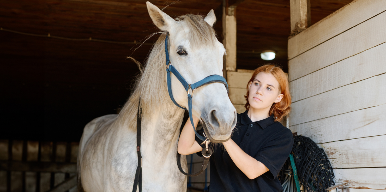 How to Recognize Signs of Stress in Horses Providing a Calm Environment