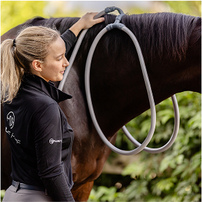Familiarize Your Horse with the Loops