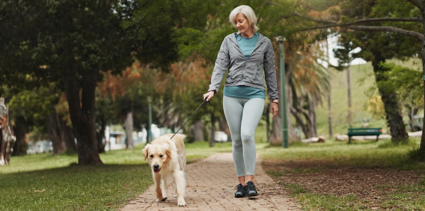 How to Create a Joint-Friendly Exercise Plan for Pets Designing a Joint-Friendly Exercise Plan