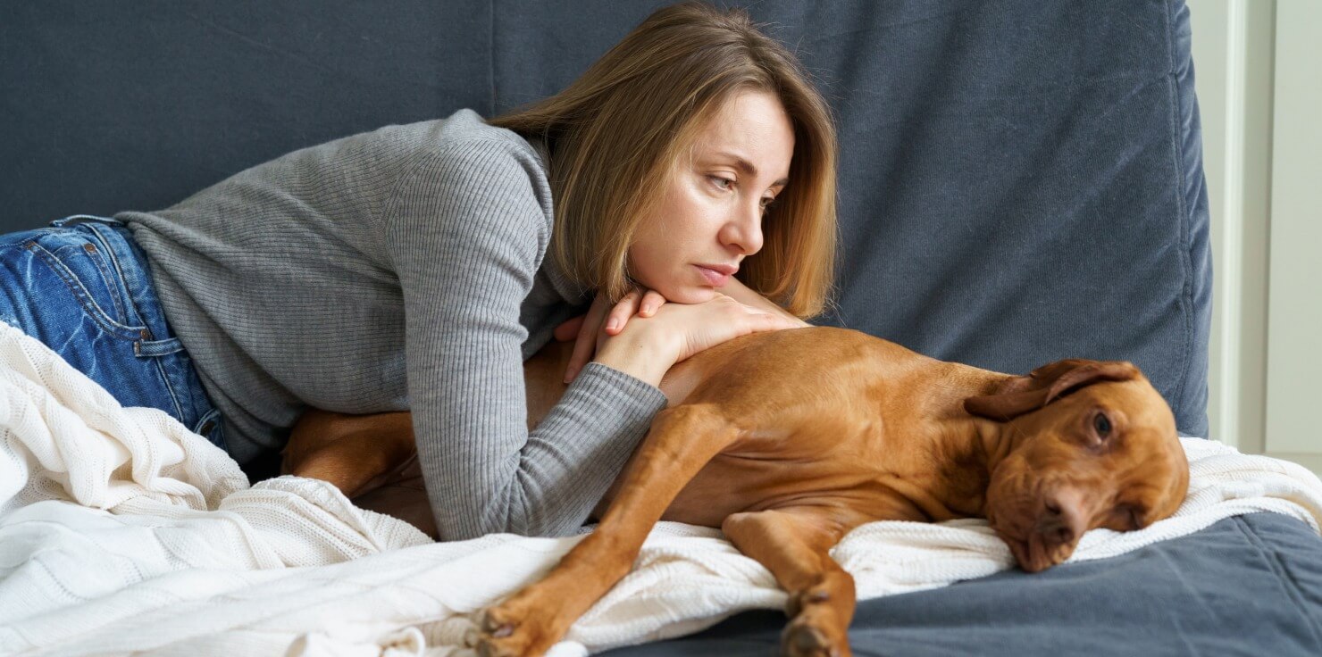 Breeds Prone to Joint Issues: How to Provide Extra Care Early Signs of Joint Issues
