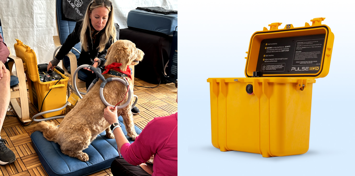 Breeds Prone to Joint Issues: How to Provide Extra Care Leveraging Technology for Joint Health