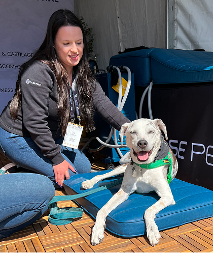 Animal assist with muscles