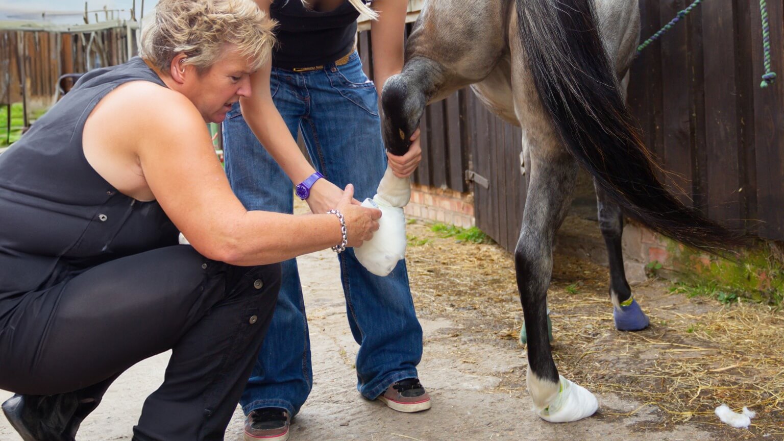 A woman tends to a horse, demonstrating her nurturing approach in a serene outdoor environment.