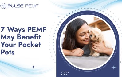 7 Ways PEMF May Benefit Your Pocket Pets