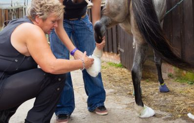 A woman tends to a horse, demonstrating her nurturing approach in a serene outdoor environment.