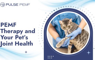 PEMF Therapy and Your Pet’s Joint Health