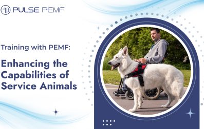 Training with PEMF Enhancing the Capabilities of Service Animals